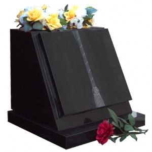 New Products for 2016