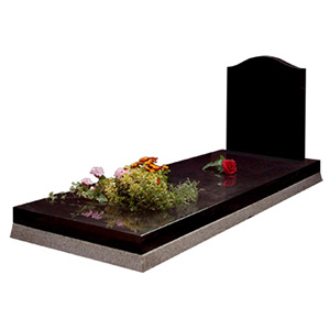 New Products for 2016