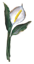 WBR137 Bronze Painted Lily