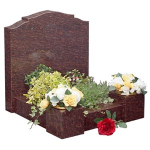 New Products for 2016