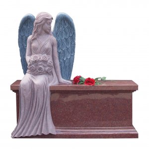 New Products for 2016