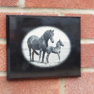 PM143 Black granite Pet Memorial